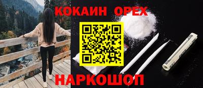 индика Гатчина