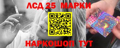 индика Гатчина