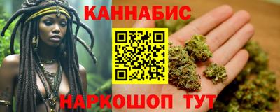 индика Гатчина
