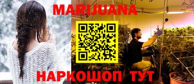 индика Гатчина