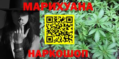 индика Гатчина