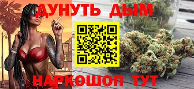 индика Гатчина