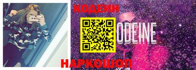 индика Гатчина