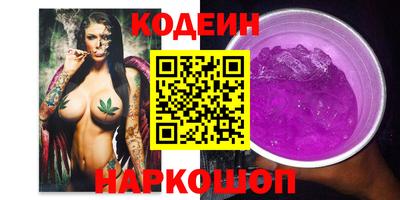 индика Гатчина