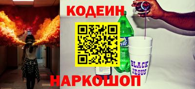 индика Гатчина