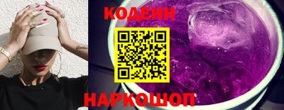 индика Гатчина