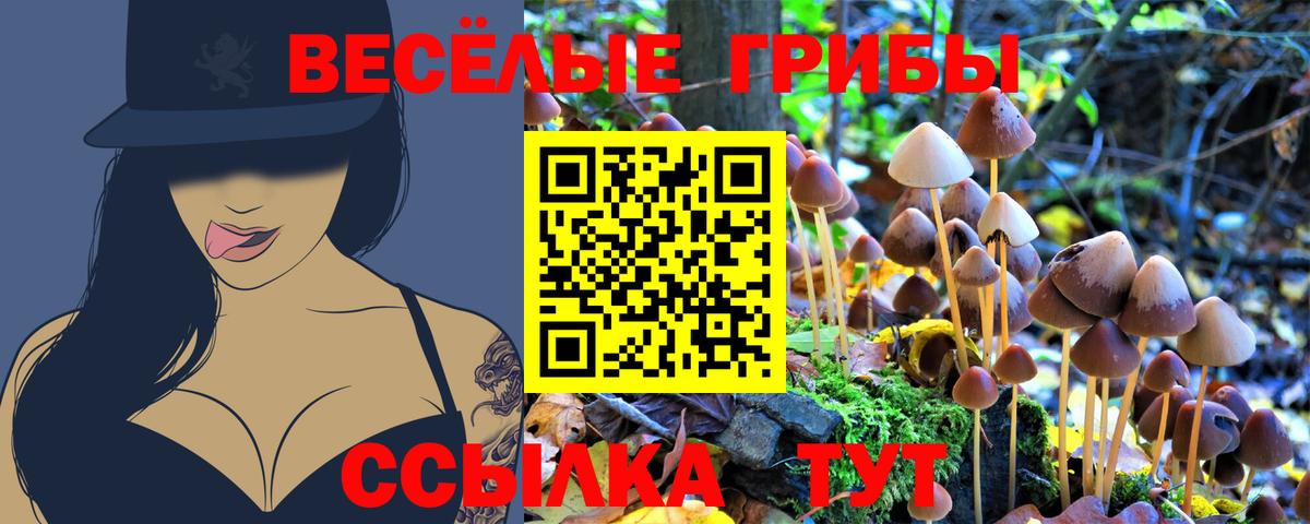 Волжск  Галлюциногенные грибы Magic Shrooms  Вход с VPN 